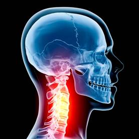 Neck/Cervical Spine 